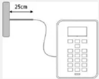 25cm