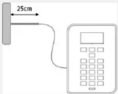 25cm