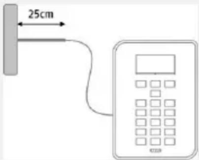 25cm