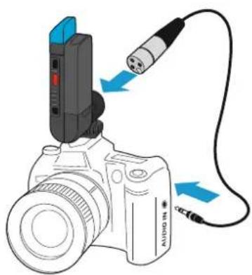SENNHEISER SKM AVX835S - Monter le récepteur sur un apparéil photo reflex numérique - 2
