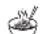 RUSSELL HOBBS Cook@Home 2185056 - SUPLIMENTE - 1