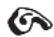 RUSSELL HOBBS Cook@Home 2185056 - menu zakres ustawienie domyslne - 1