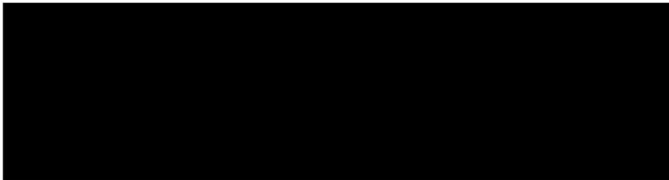 BRESSER Biorit ICD - 2