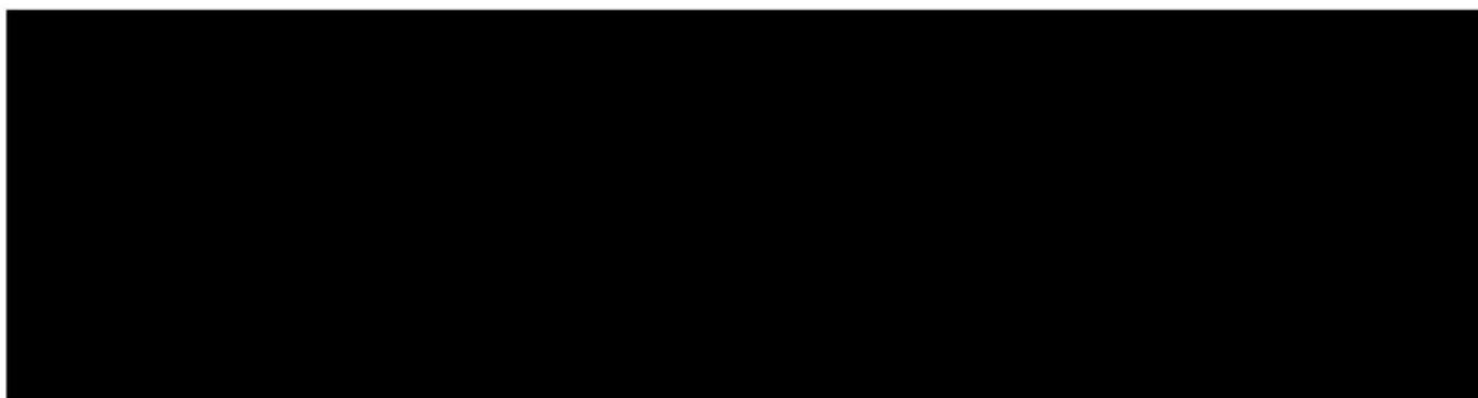 BRESSER Biorit ICD - 3