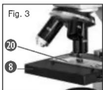 BRESSER Junior Biolux - ¿Cóme se ajusta correctamente el microscopio? - 3