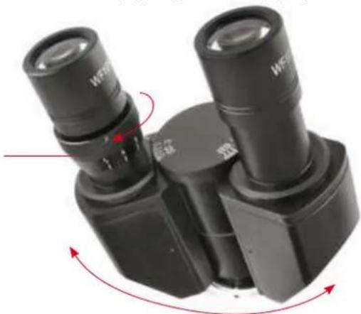 BRESSER Bio Science Trino - Adjustment of interpupillary distance (Fig. 4) - 1