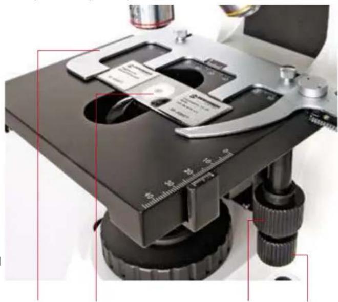 BRESSER Bio Science Trino - Objekttisch (Abb. 6) - 1