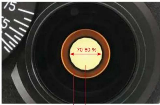 BRESSER Bio Science Trino - Kohlersche Beleuchtung (Abb. 7) - 1