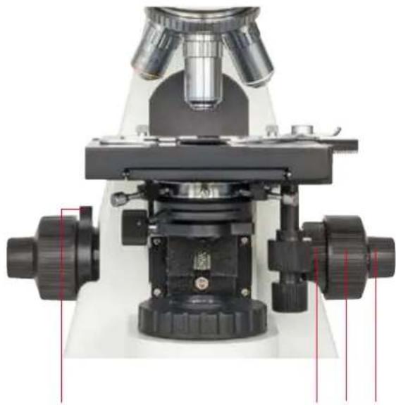 BRESSER Bio Science Trino - Grob- und Feinfokussierung (Abb. 5) - 1