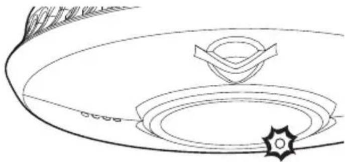 ANGELEYE STAE620BNLR - ALARMTEST - 3