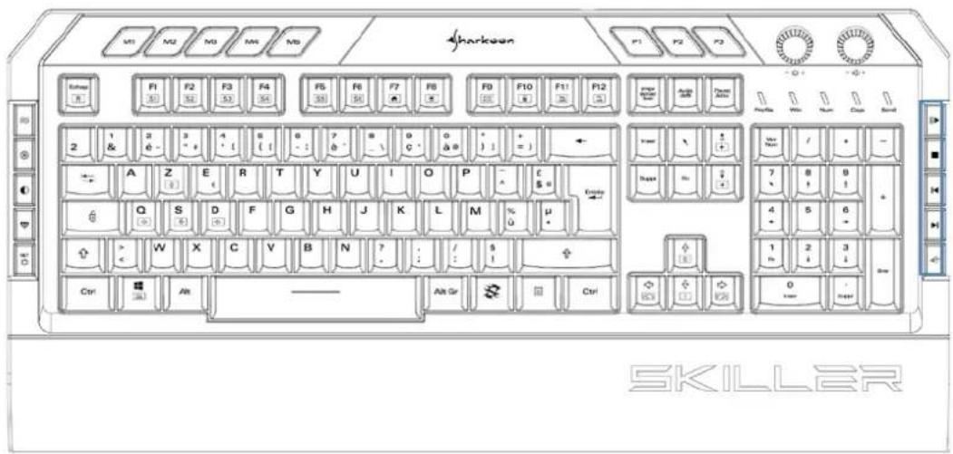 Sharkoon Skiller SGK5 - Résumé - 1