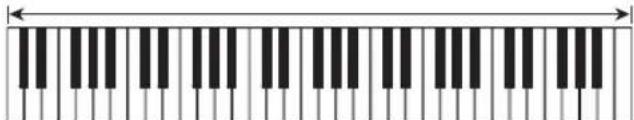 CASIO Casiotone LKS250 - Remarque - 2