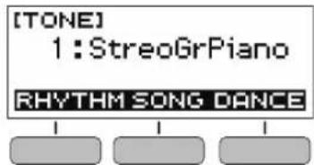 CASIO Casiotone LKS250 - Boutons - 1