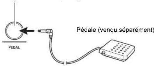 CASIO Casiotone LKS250 - Connexion d'une pédale (vendue séparément) - 1