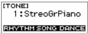 CASIO Casiotone LKS250 - Bouton HOME - 1