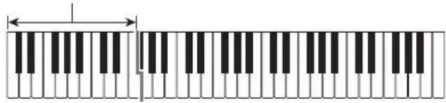 CASIO Casiotone CTS300 - Remarque - 1