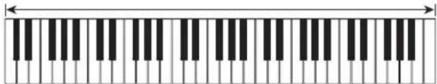 CASIO Casiotone CTS300 - Remarque - 2