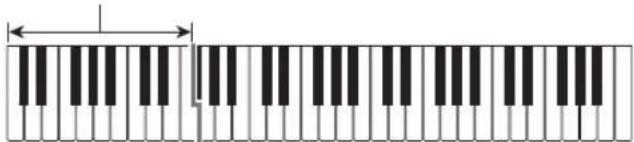 CASIO Casiotone CTS200 - ■FINGERED - 1