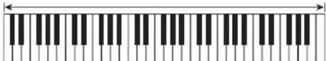 CASIO Casiotone CTS200 - ■FULL RANGE CHORD - 1