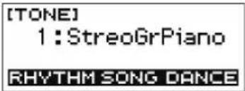 CASIO Casiotone CTS200 - Bouton HOME - 1