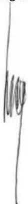 PowerPlus POWDP7030 - CONFORMITEITSVERKLARING - 3