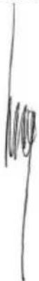 PowerPlus POWDP7030 - DECLARATION DE CONFORMITE - 3