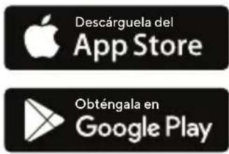 THERAGUN LIV - Accesorios - 1
