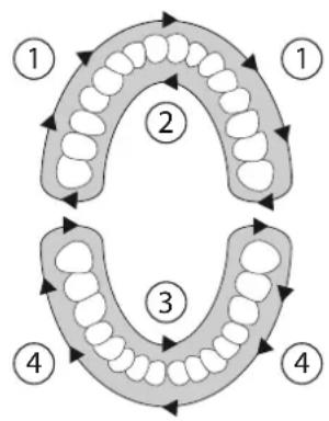 SILKN ToothWave H700I - Uygulama plani - 1