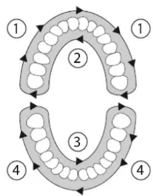 SILKN ToothWave H700I - Πρόγραμα Θεραπείας - 1