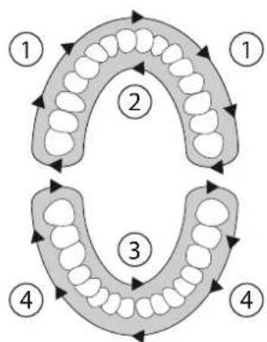 SILKN ToothWave H700I - Behandelingsschema - 2