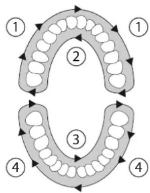 SILKN ToothWave H700I - Protocole d'utilisation - 1