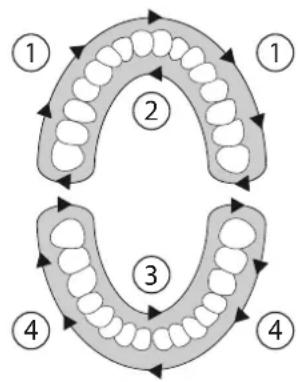 SILKN ToothWave H700I - Leitura e armazenamento do manual do utilizador - 1