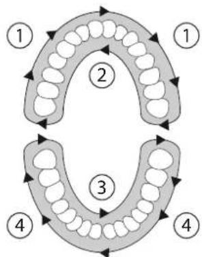 SILKN ToothWave H700I - Treatment plan - 1