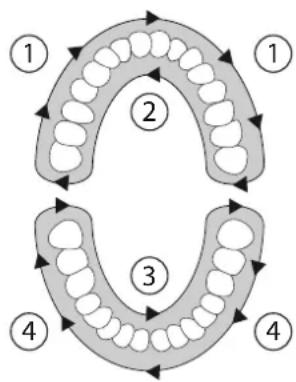 SILKN ToothWave H700I - Plan de tratamiento - 1