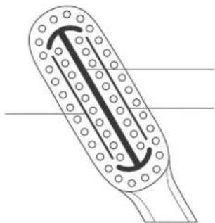 SILKN ToothWave H700I - Silk'n ToothWaveKεφαλή oδοντόβουρτσας - 1