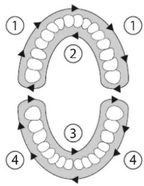 SILKN ToothWave H700I - Behandlungsplan - 1