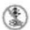 BRESSER Junior 12x30 - BRESE - 27