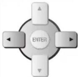 PANASONIC SCPT550 - Image par image (pendant la pause) - 1