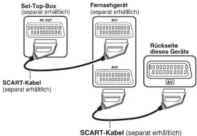 PANASONIC SCPT550 - Fakultative Verbindung für Set-Top-Box - 1