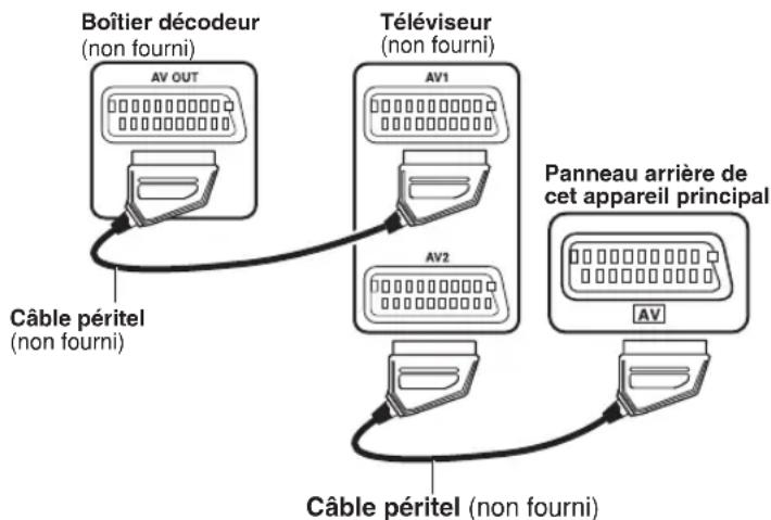 PANASONIC SCPT550 - Connexion audio facultative pour boîtier décodeur - 1