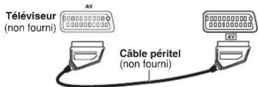 PANASONIC SCPT550 - Raccordements aux différentes bornes du téléviseur - 1