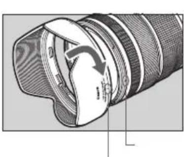 CANON RF 2470mm F2.8 L IS USM - Parasoleil - 1