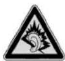MEDION LifeTab P9514 - Caution! - 1