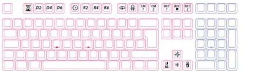 D2 D4 D6 R2 R4 R6 CM CM 1 CM 2 REC 1 REC 2 ※ ※