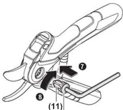BOSCH EasyPrune - www.bosch-garden.com - 19
