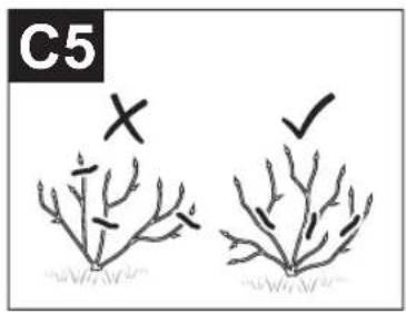 BOSCH EasyPrune - www.bosch-garden.com - 10