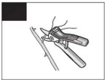 BOSCH EasyPrune - www.bosch-garden.com - 14