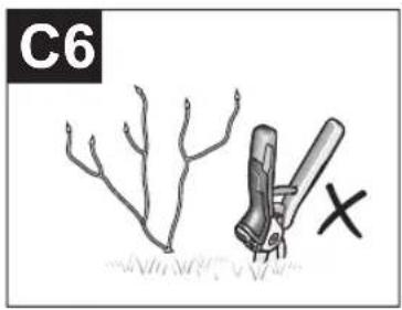 BOSCH EasyPrune - www.bosch-garden.com - 11