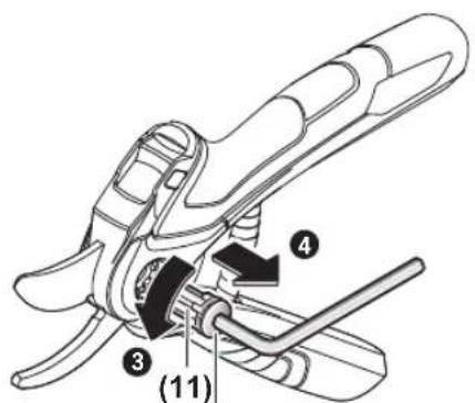 BOSCH EasyPrune - www.bosch-garden.com - 17