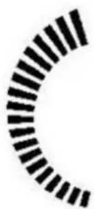 Sonnenkönig Chelsea - Force du brouillard - 3